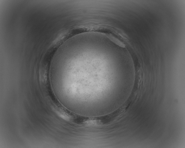 X0000081290499200701111402