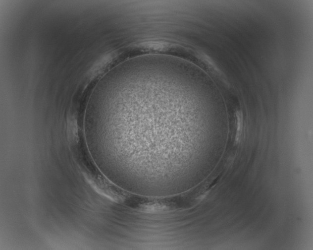 X0000081290500200701111402