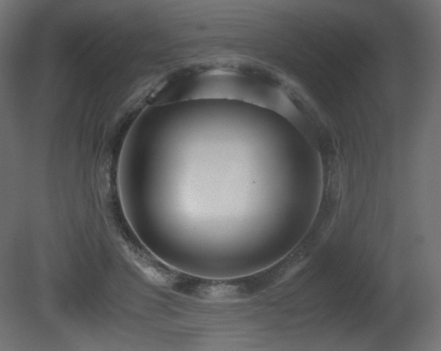 X0000081290501200701111402