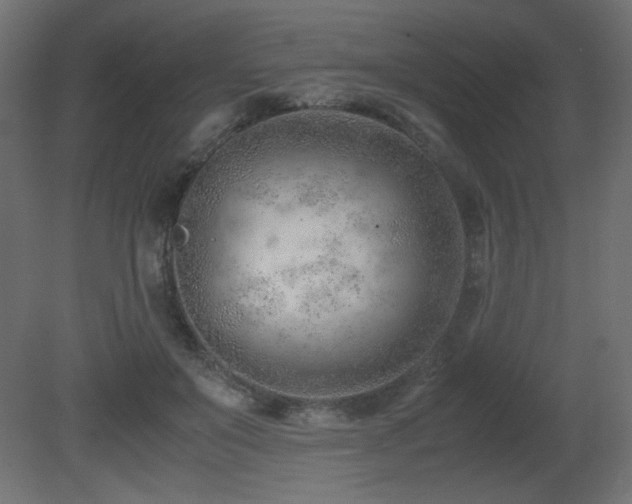 X0000081290503200701111402