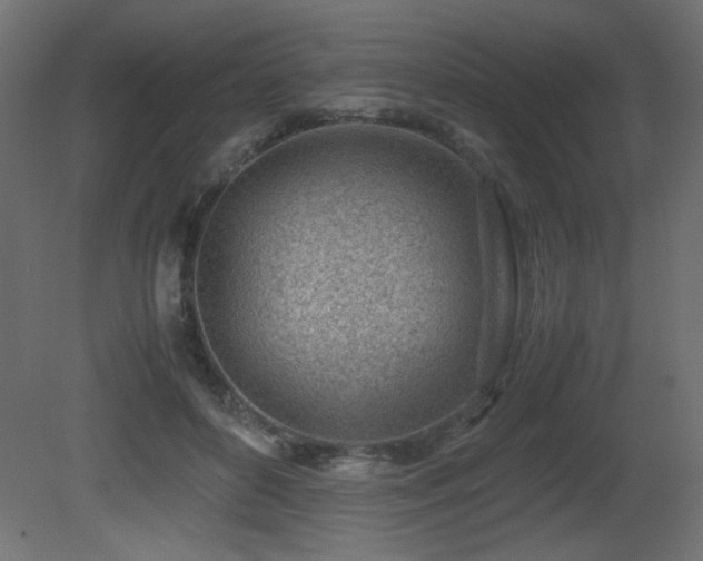 X0000081290504200701111402