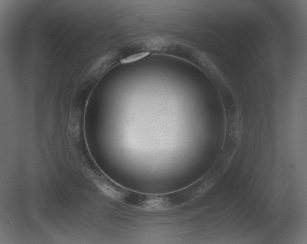X0000081290505200701111402