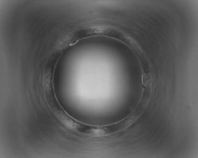 X0000081290509200701111402