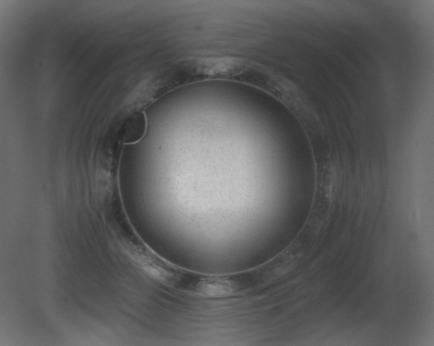 X0000081290510200701111402