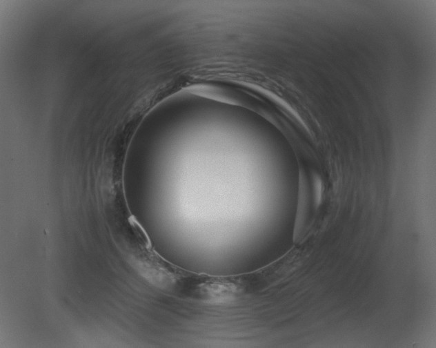 X0000081290512200701111402