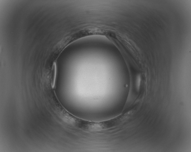 X0000081290513200701111402