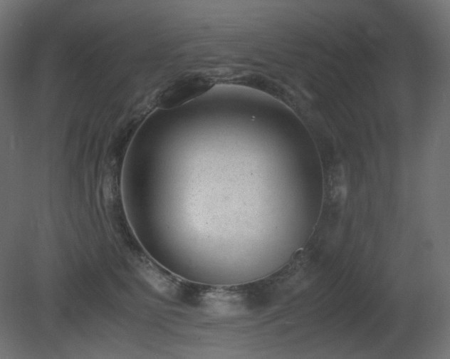 X0000081290515200701111402