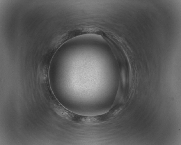 X0000081290517200701111402