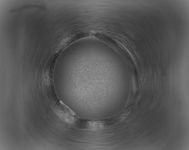 X0000081290520200701111402
