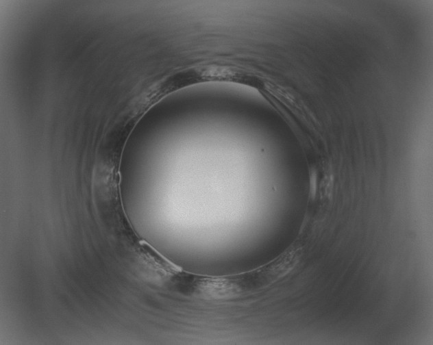 X0000081290521200701111402