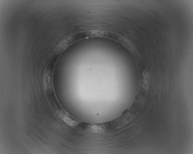 X0000081290522200701111402