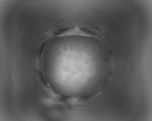 X0000081290523200701111402