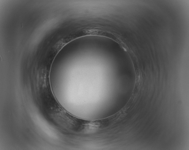 X0000081290525200701111402