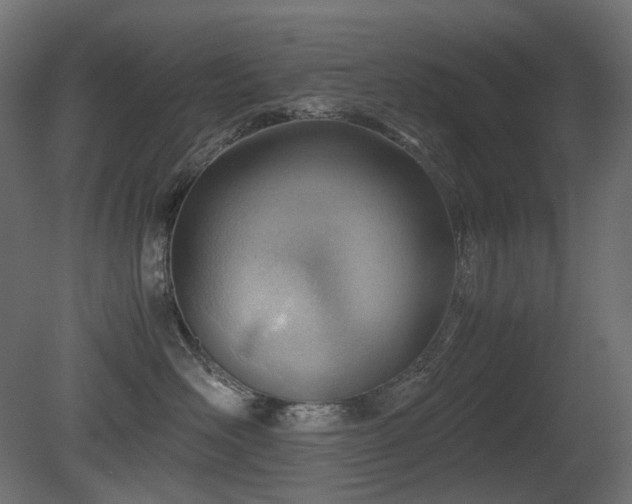 X0000081290526200701111402