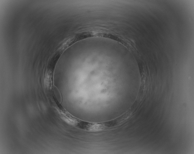 X0000081290527200701111402