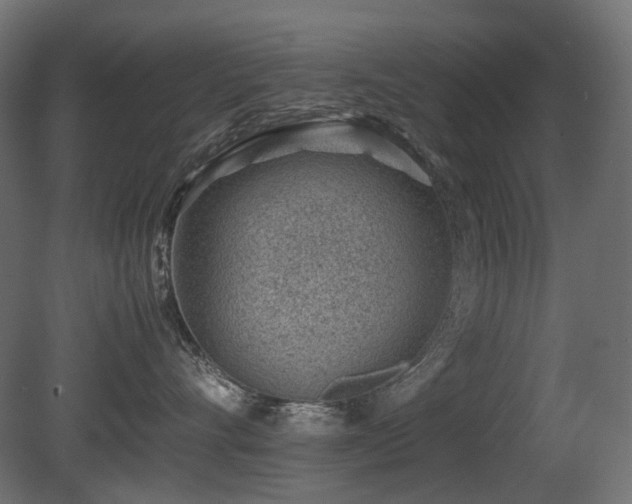 X0000081290528200701111402