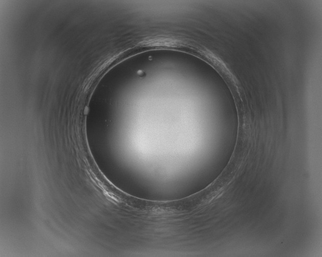 X0000081290529200701111401