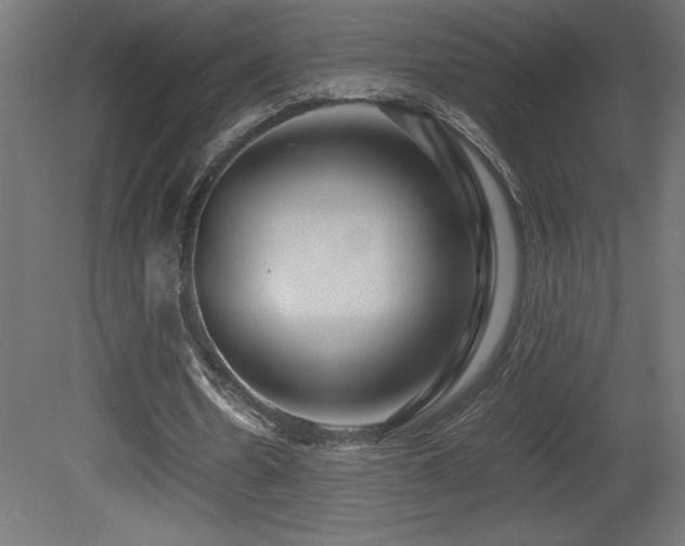 X0000081290530200701111401