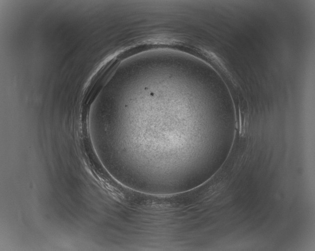 X0000081290531200701111401