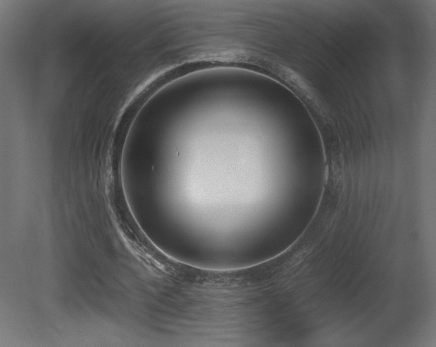 X0000081290532200701111401