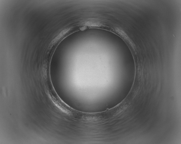 X0000081290533200701111401