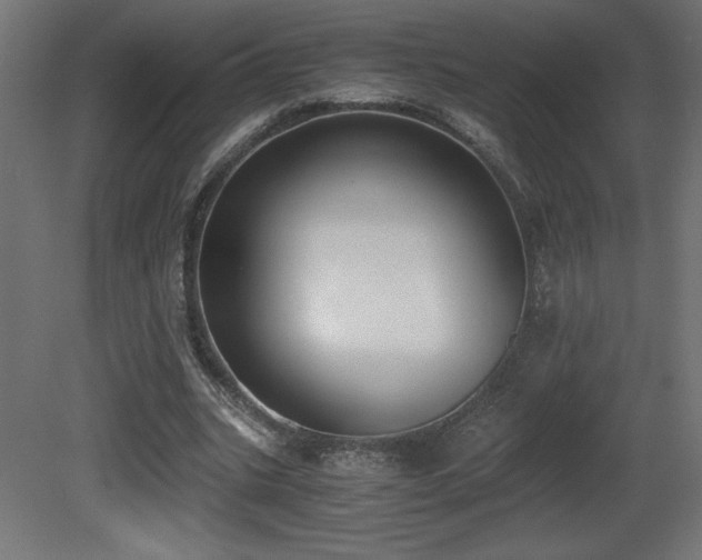 X0000081290535200701111401