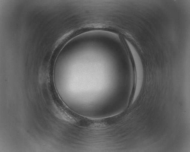 X0000081290536200701111401