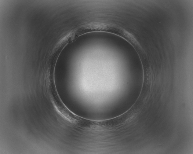 X0000081290538200701111401