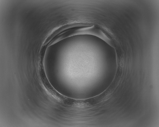 X0000081290540200701111401
