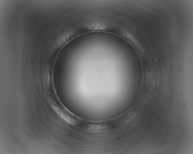 X0000081290541200701111401
