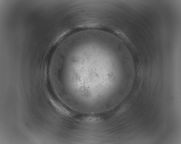 X0000081290542200701111401