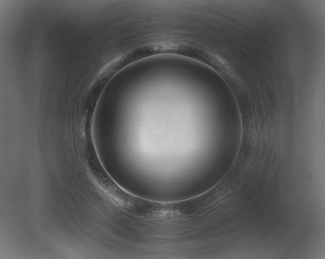 X0000081290543200701111401