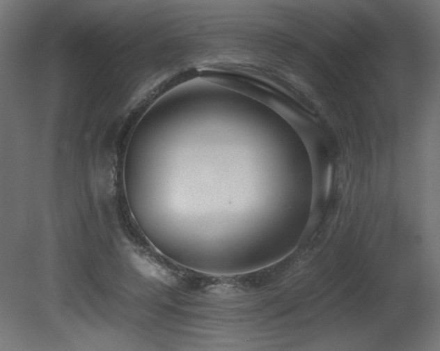 X0000081290544200701111401