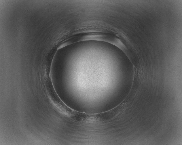 X0000081290546200701111401