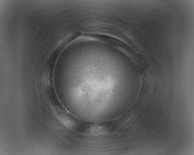 X0000081290547200701111401
