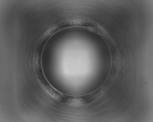 X0000081290548200701111401