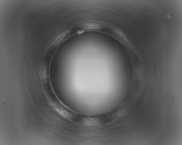 X0000081290549200701111401