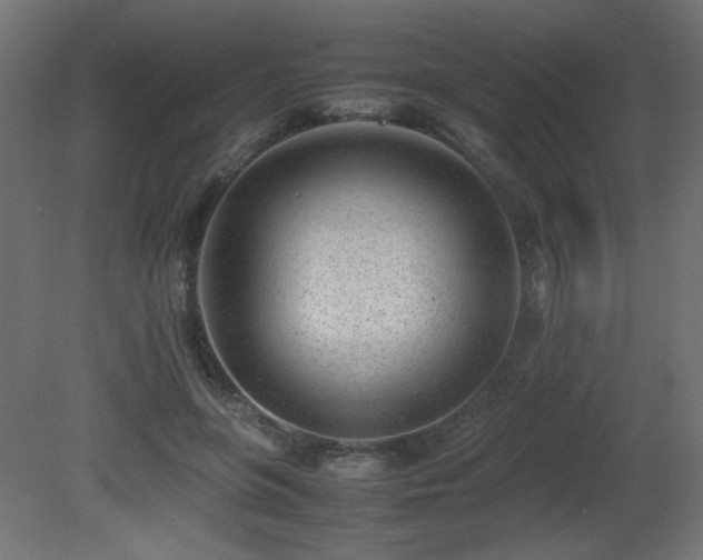 X0000081290551200701111401