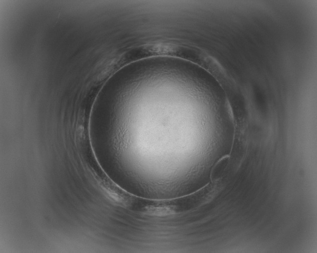 X0000081290553200701111401