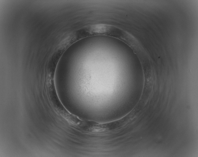 X0000081290555200701111401