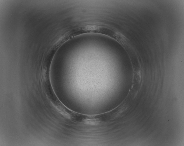 X0000081290556200701111401