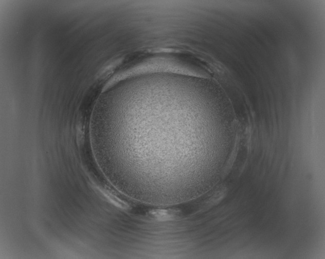 X0000081290558200701111401