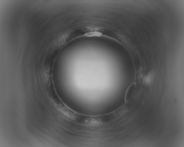 X0000081290559200701111401