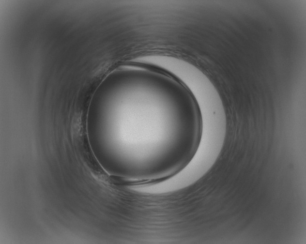 X0000081290560200701111401