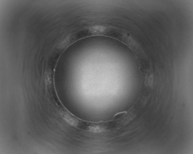 X0000081290561200701111401