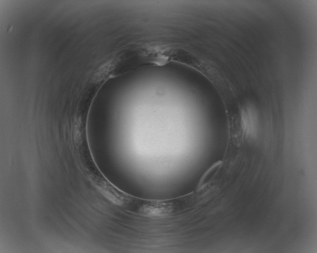 X0000081290563200701111401