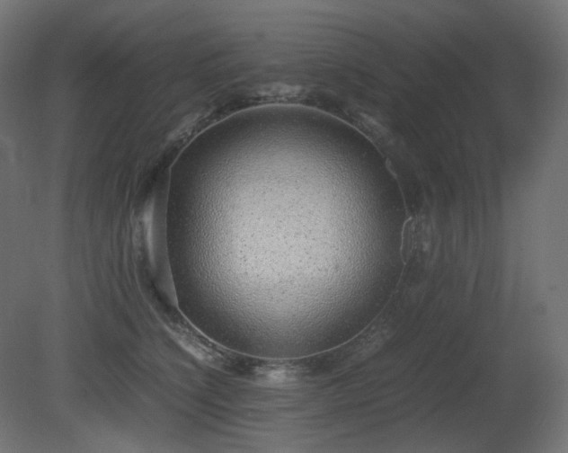 X0000081290564200701111401