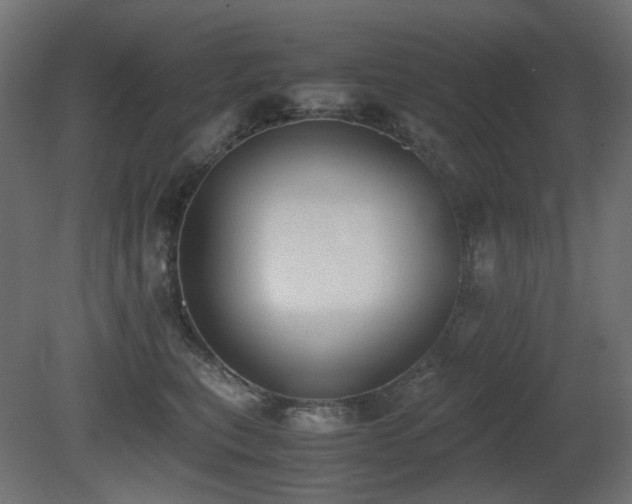 X0000081290567200701111401