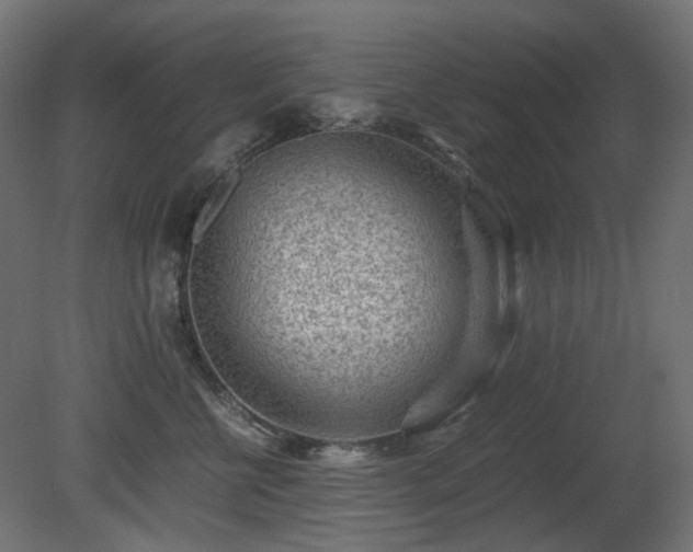 X0000081290570200701111401