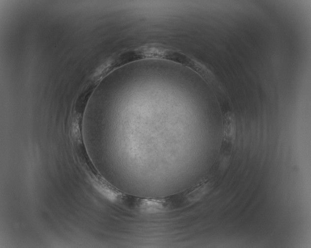 X0000081290573200701111402